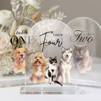 Custom Pet Acrylic Wedding Table Number Sign Using Pet Photo