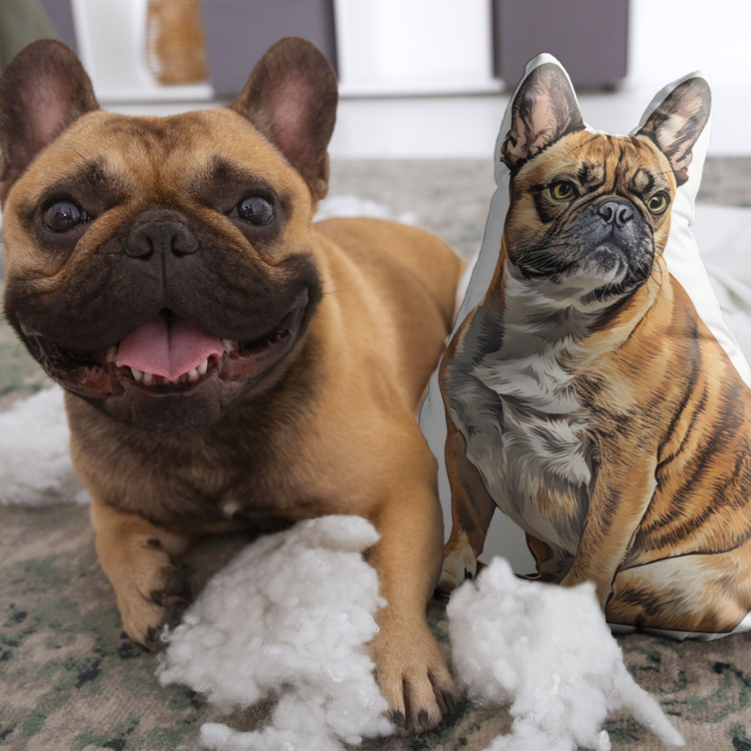 Custom Pet Shaped Cat Dog Pillow - Pet Photo