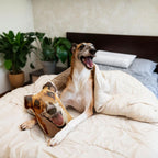 Custom Pet Shaped Cat Dog Pillow - Pet Photo