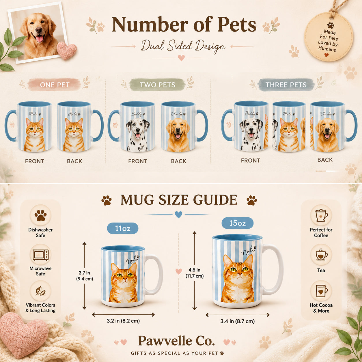 Bernese Mountain Dog Mug - "Stay Pawsitive, Cuddle Often" Accent Coffee Cup