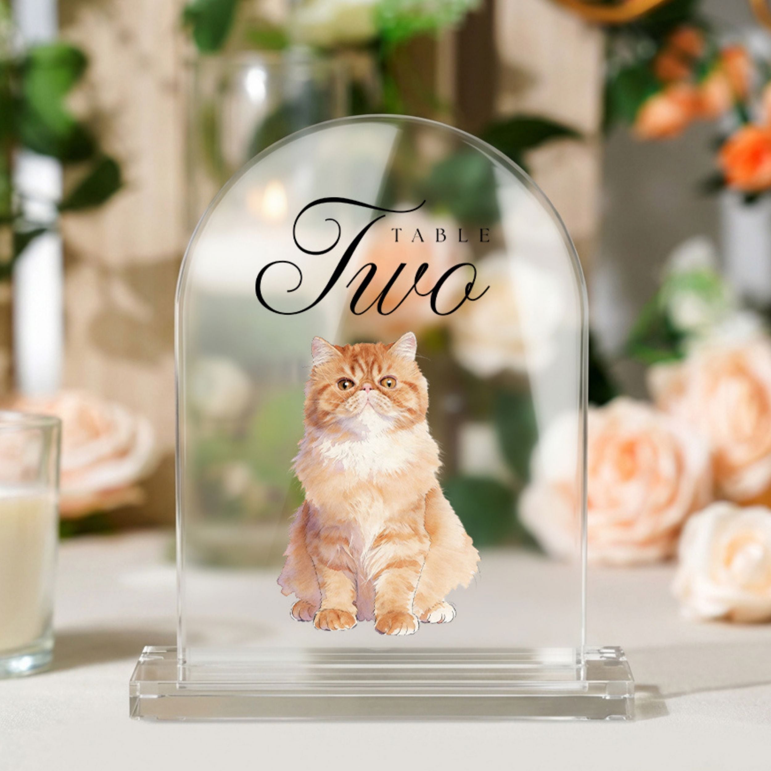 Custom Pet Acrylic Wedding Table Number Sign Using Pet Photo