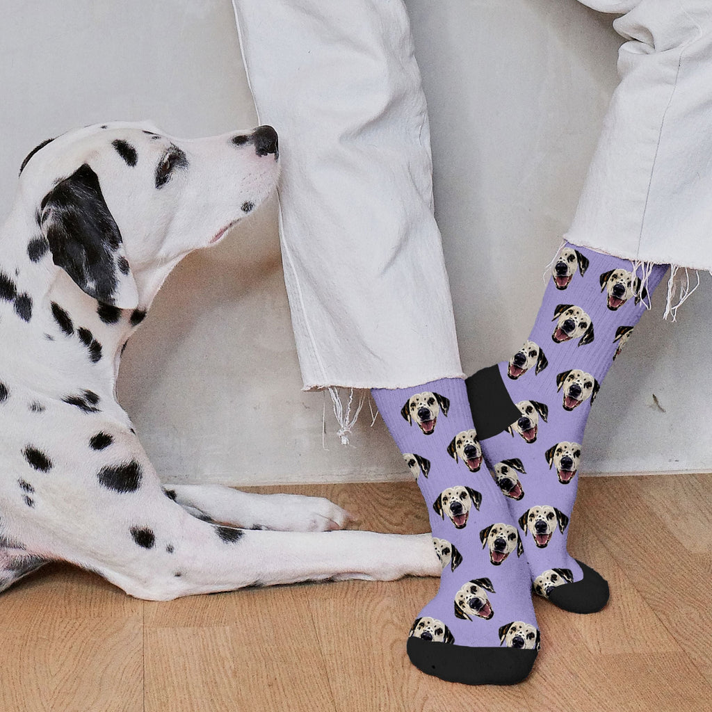 Custom Pet Socks - Pet Photo