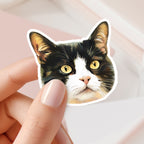 Custom Color Pet Sticker - Pet Photo