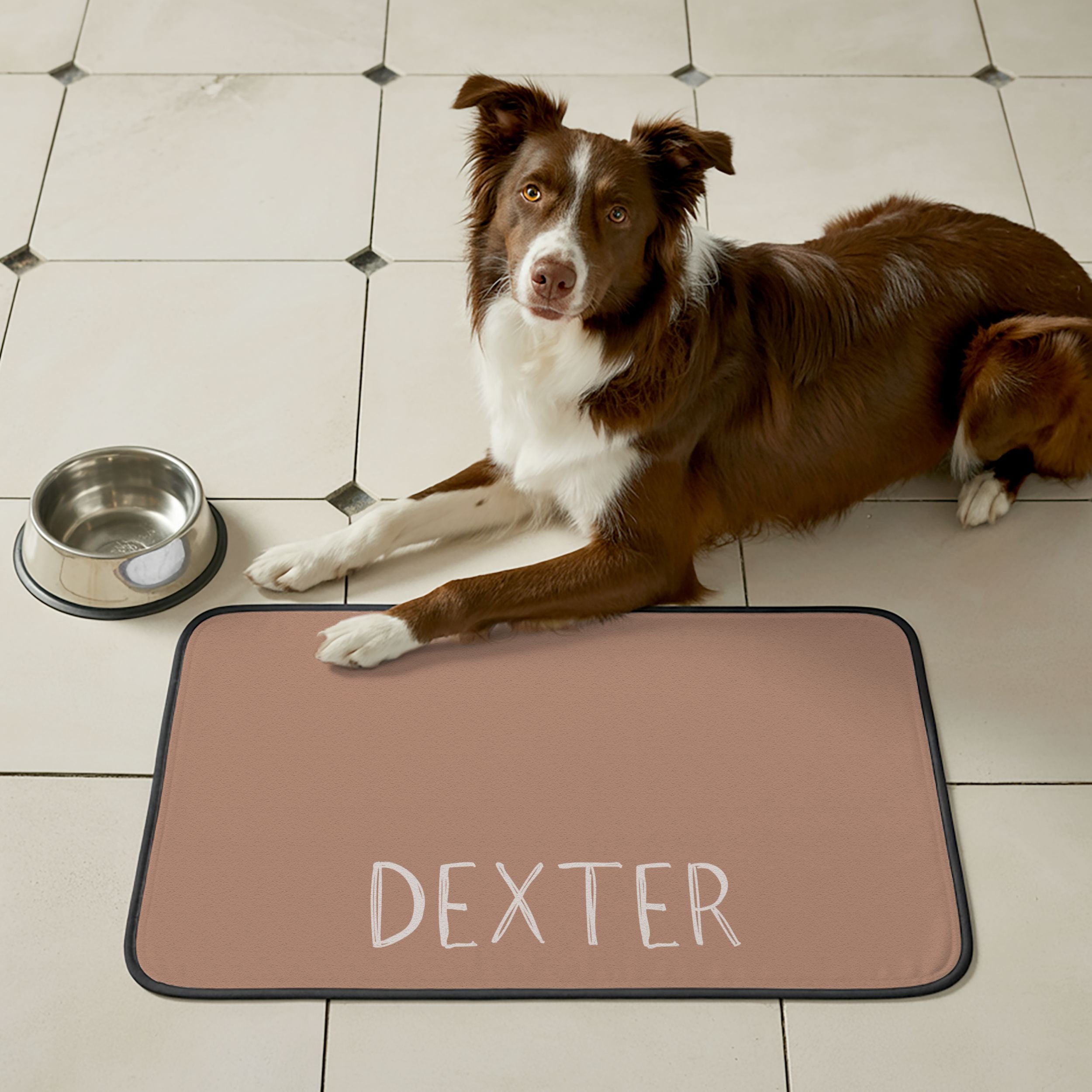 Custom Color Pet Mat - Pet Photo + Name