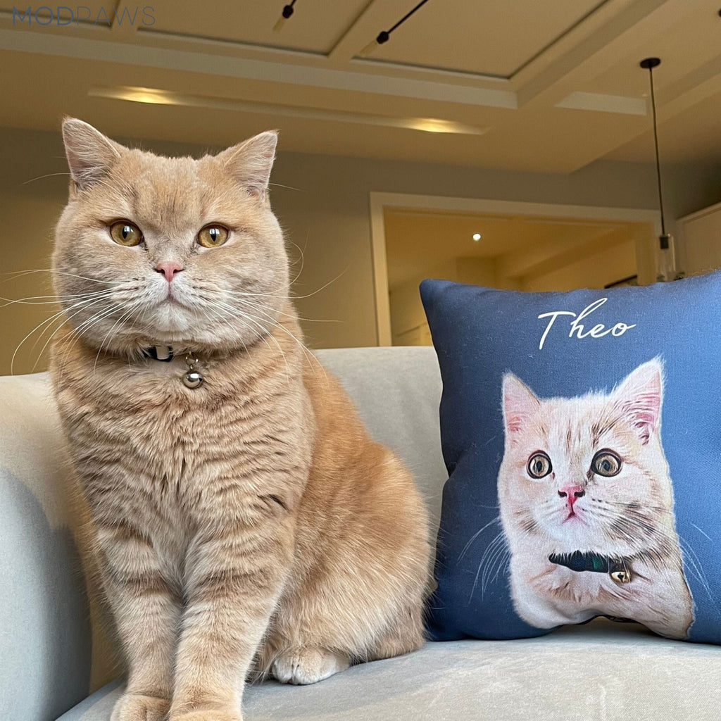 Custom Pet Pillow - Pet Photo + Name