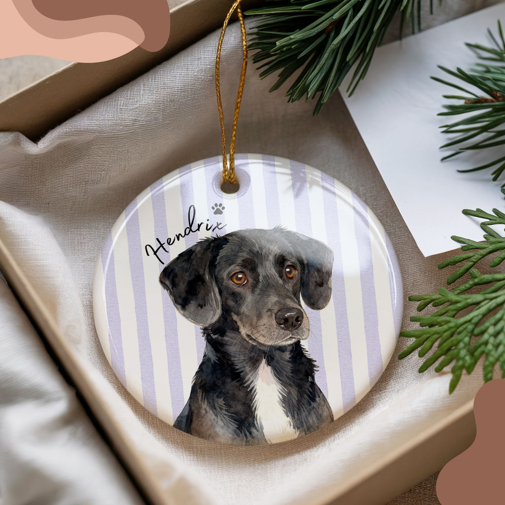 Custom Watercolor Striped Pet Ornament - Pet Photo + Name