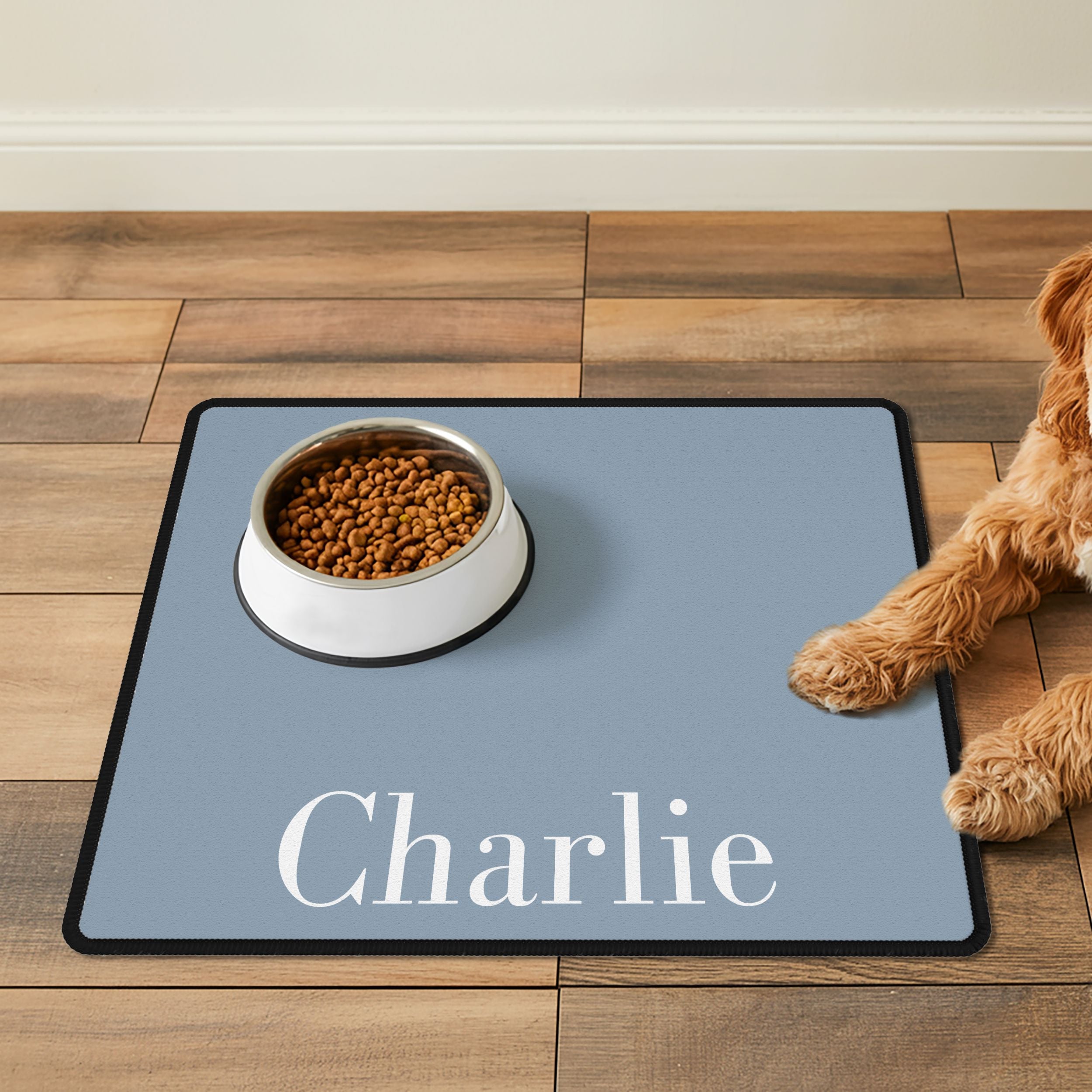 Custom Color Pet Mat - Pet Photo + Name