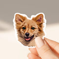 Custom Color Pet Sticker - Pet Photo